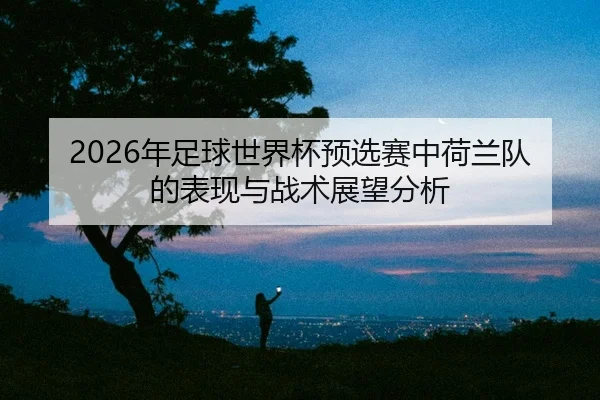 2026年足球世界杯预选赛中荷兰队的表现与战术展望分析