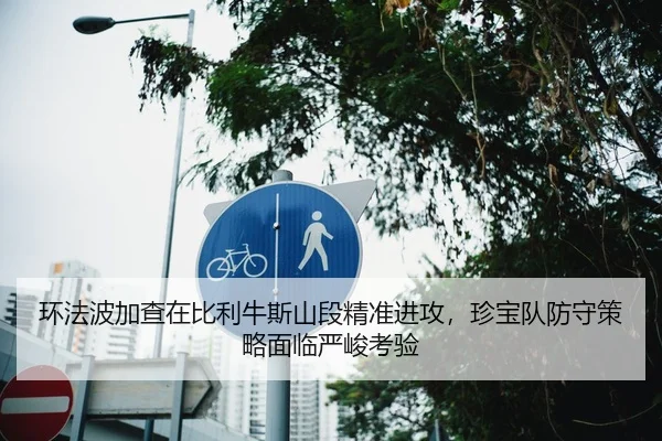 环法波加查在比利牛斯山段精准进攻，珍宝队防守策略面临严峻考验