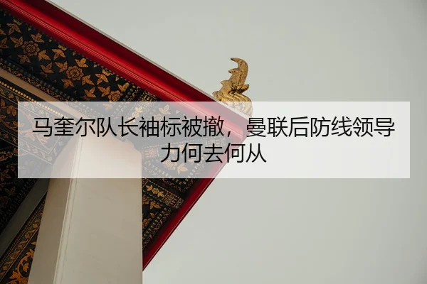 ma-kui-er-dui-zhang-xiu-biao-bei-che-man-lian-hou-fang-xian-ling-dao-li-he-qu-he-cong-3-866.jpg